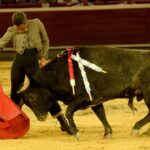 Cali, sábado 28 de diciembre de 2019