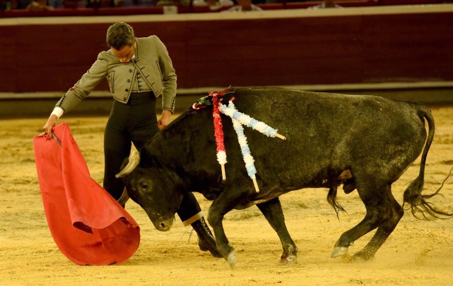 Cali, sábado 28 de diciembre de 2019