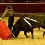 Cali, sábado 28 de diciembre de 2019