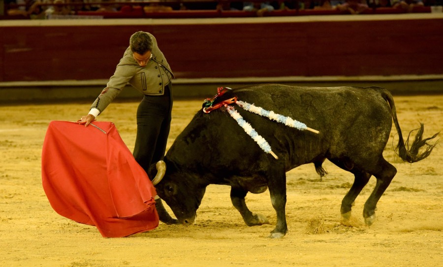 Cali, sábado 28 de diciembre de 2019