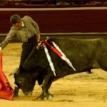 Cali, sábado 28 de diciembre de 2019