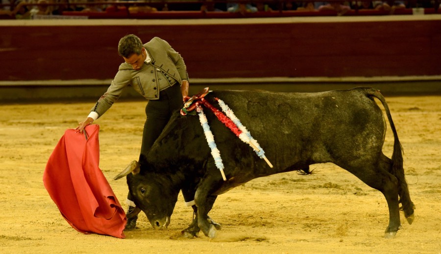 Cali, sábado 28 de diciembre de 2019