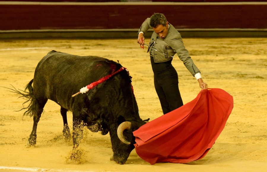 Cali, sábado 28 de diciembre de 2019