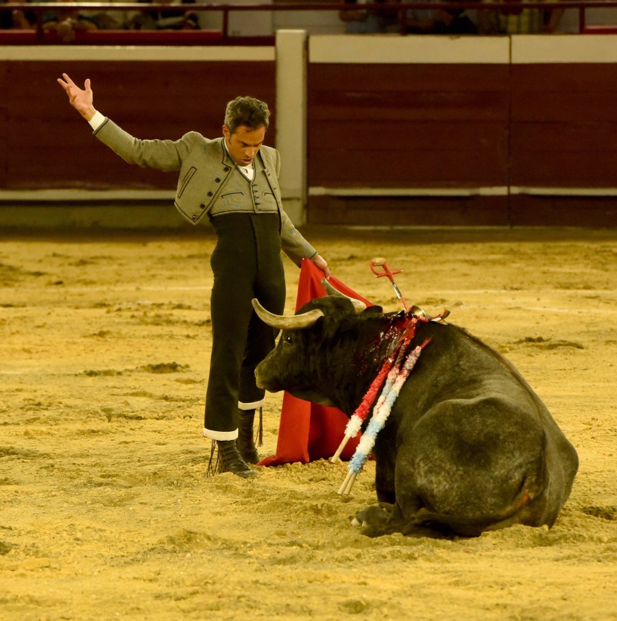 Cali, sábado 28 de diciembre de 2019