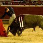 Cali, sábado 28 de diciembre de 2019