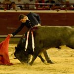 Cali, sábado 28 de diciembre de 2019