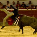 Cali, sábado 28 de diciembre de 2019