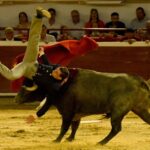 Cali, sábado 28 de diciembre de 2019