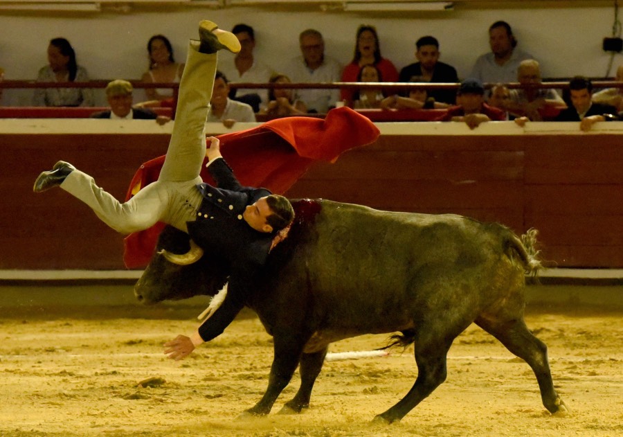 Cali, sábado 28 de diciembre de 2019