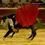 Cali, sábado 28 de diciembre de 2019