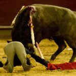 Cali, sábado 28 de diciembre de 2019