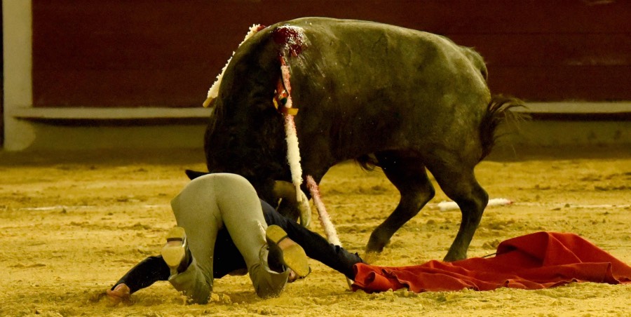 Cali, sábado 28 de diciembre de 2019