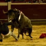 Cali, sábado 28 de diciembre de 2019