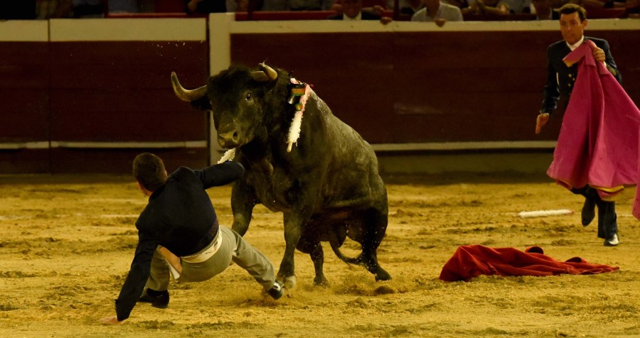 Cali, sábado 28 de diciembre de 2019