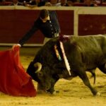 Cali, sábado 28 de diciembre de 2019