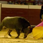 Cali, sábado 28 de diciembre de 2019