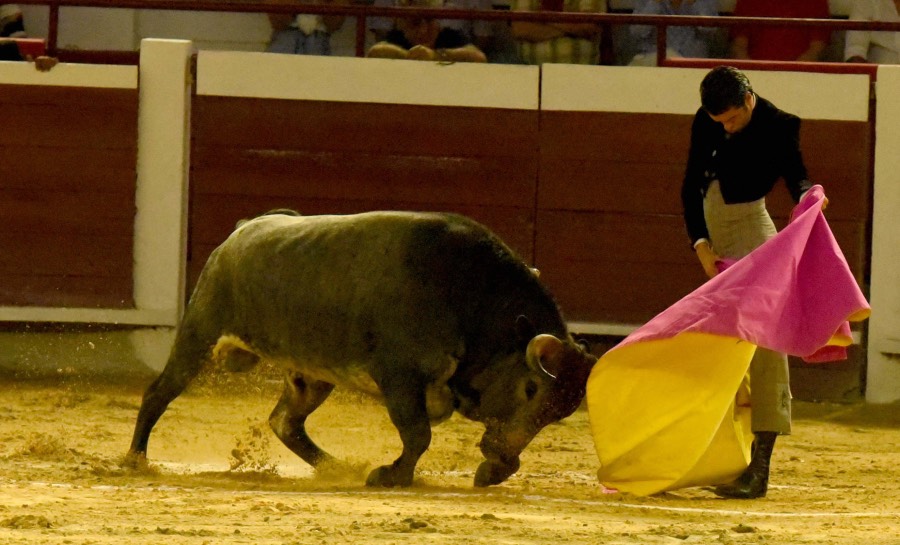 Cali, sábado 28 de diciembre de 2019