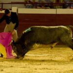 Cali, sábado 28 de diciembre de 2019