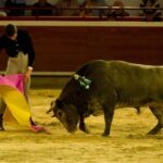 Cali, sábado 28 de diciembre de 2019