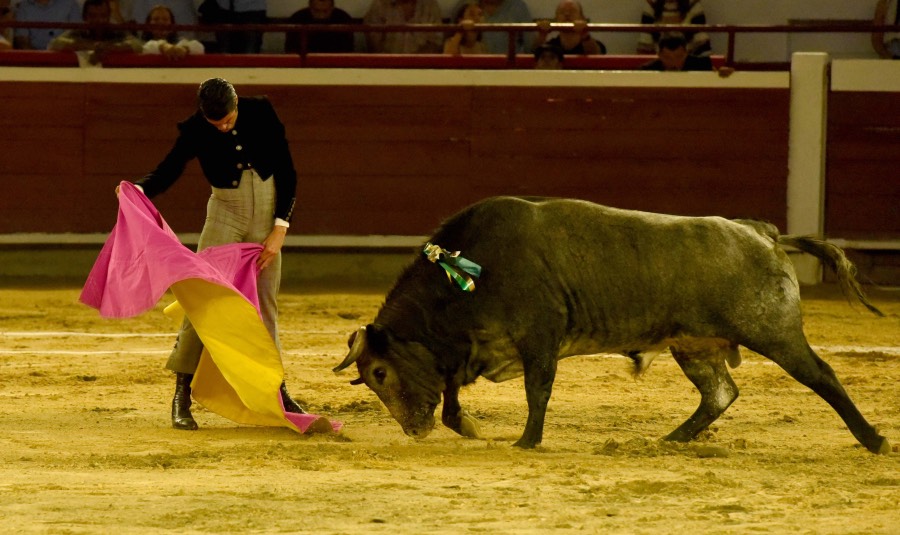 Cali, sábado 28 de diciembre de 2019