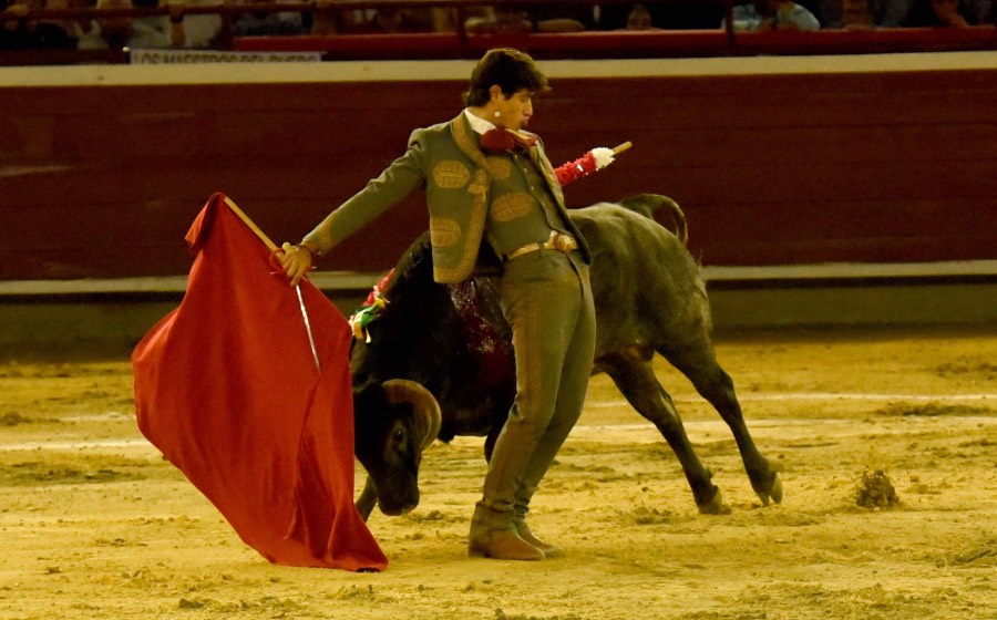 Cali, sábado 28 de diciembre de 2019