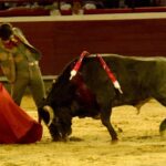 Cali, sábado 28 de diciembre de 2019