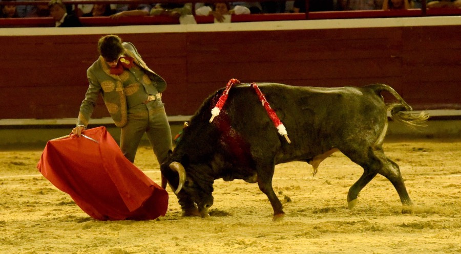 Cali, sábado 28 de diciembre de 2019