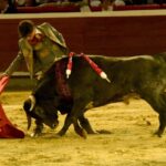 Cali, sábado 28 de diciembre de 2019