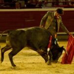 Cali, sábado 28 de diciembre de 2019