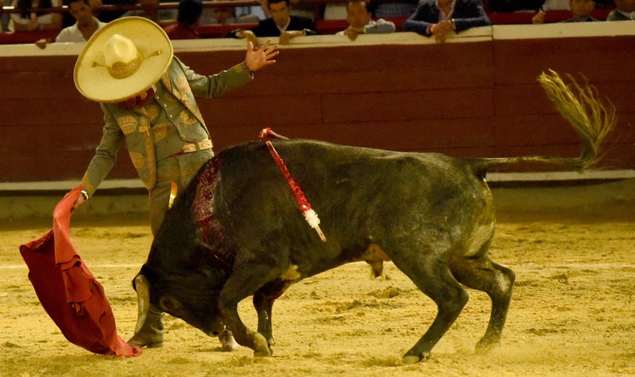 Cali, sábado 28 de diciembre de 2019