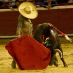 Cali, sábado 28 de diciembre de 2019