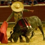 Cali, sábado 28 de diciembre de 2019