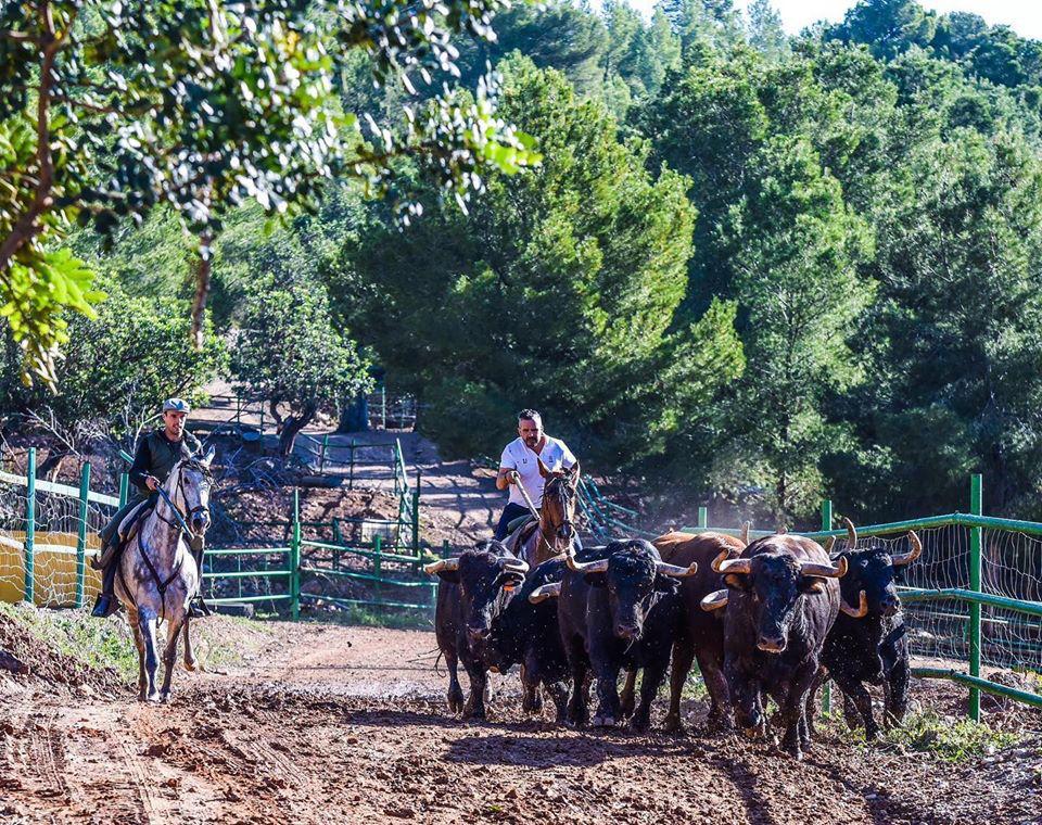 Daniel Ramos y Roberto Bautista