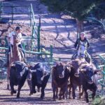 Daniel Ramos y Roberto Bautista