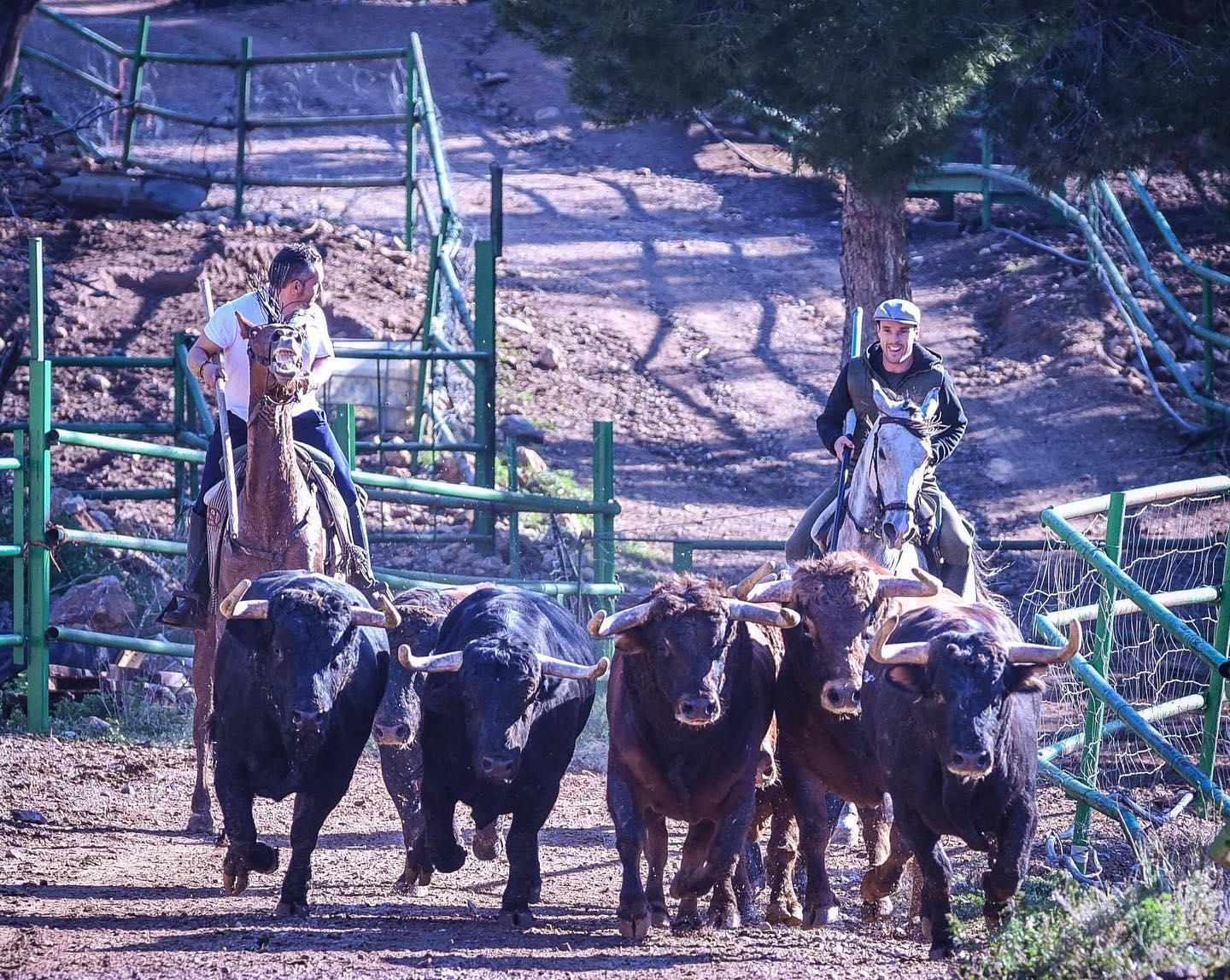 Daniel Ramos y Roberto Bautista