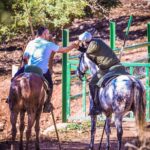 Daniel Ramos y Roberto Bautista