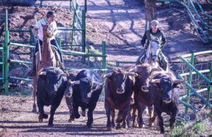 Daniel Ramos y Roberto Bautista