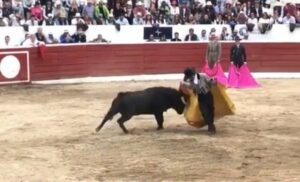 El Quite del Bú de Morante en Latacunga