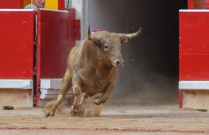 Pamplona, viernes 12 de julio e 2019