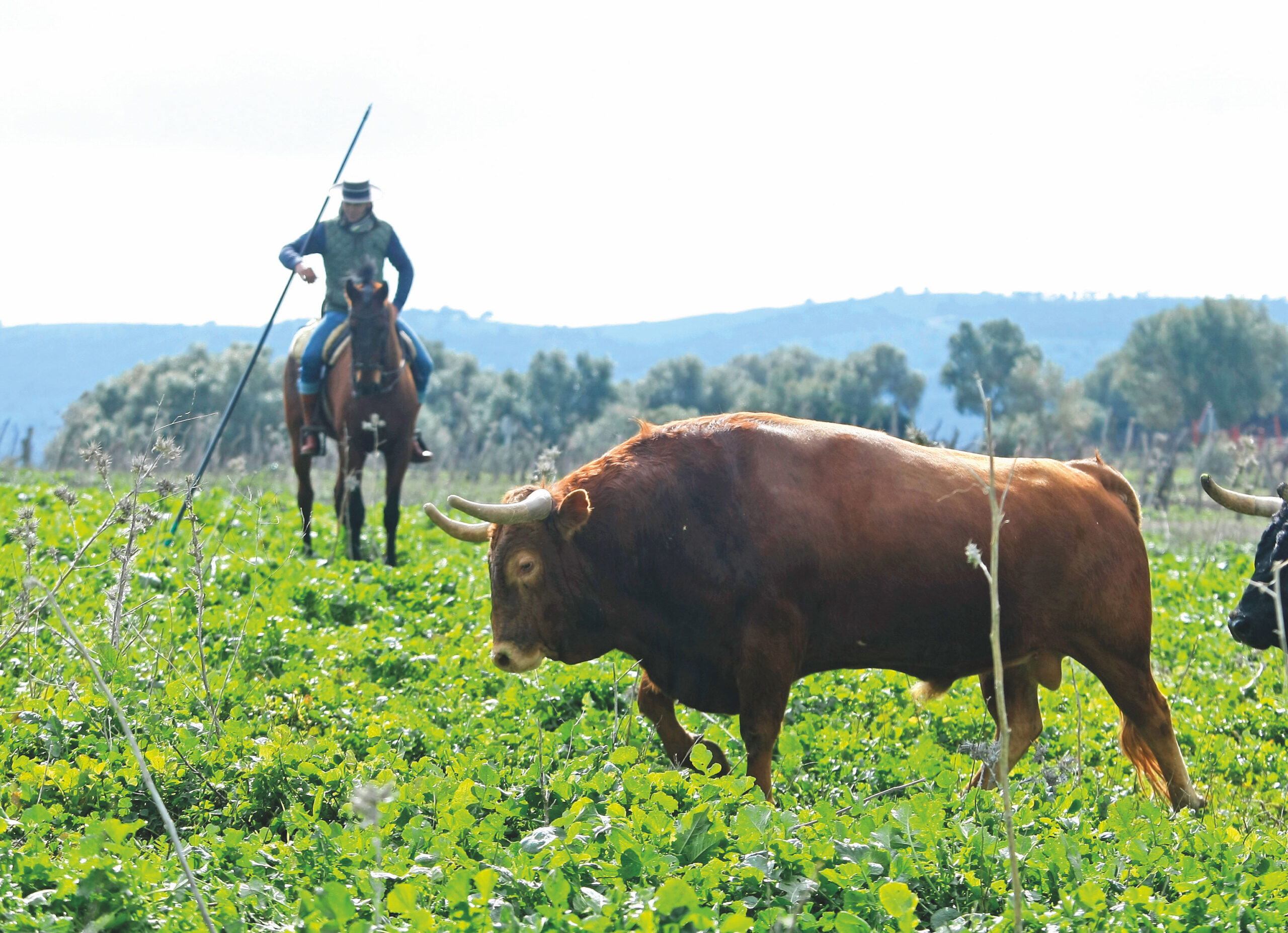 Unanimidad sorda y desaprovechada