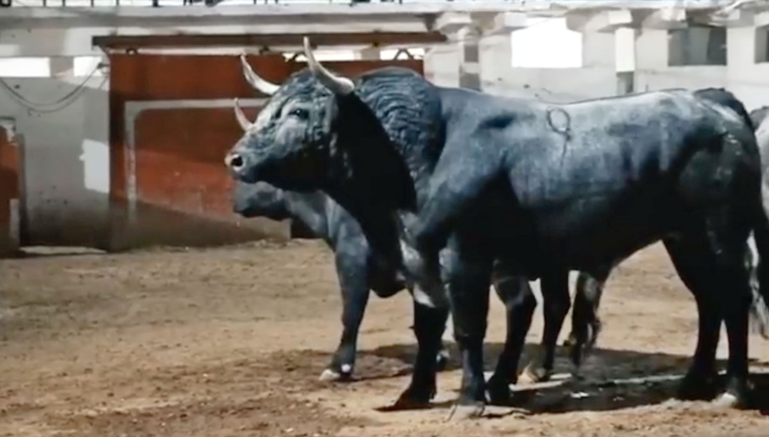 Los de Xajay para este domingo en La México