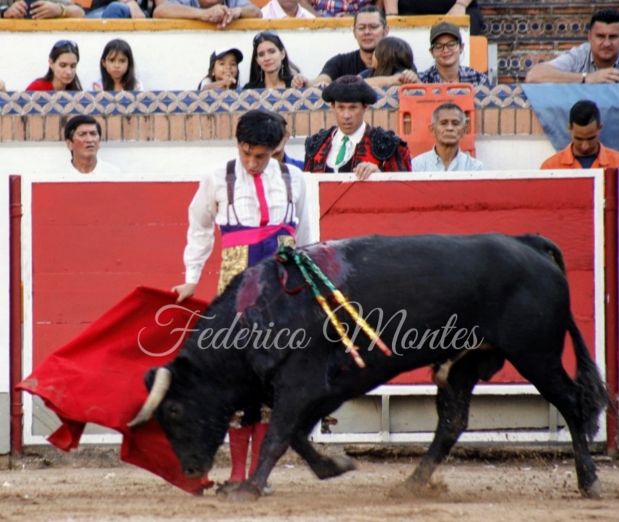 San Cristóbal. 30-1-2020