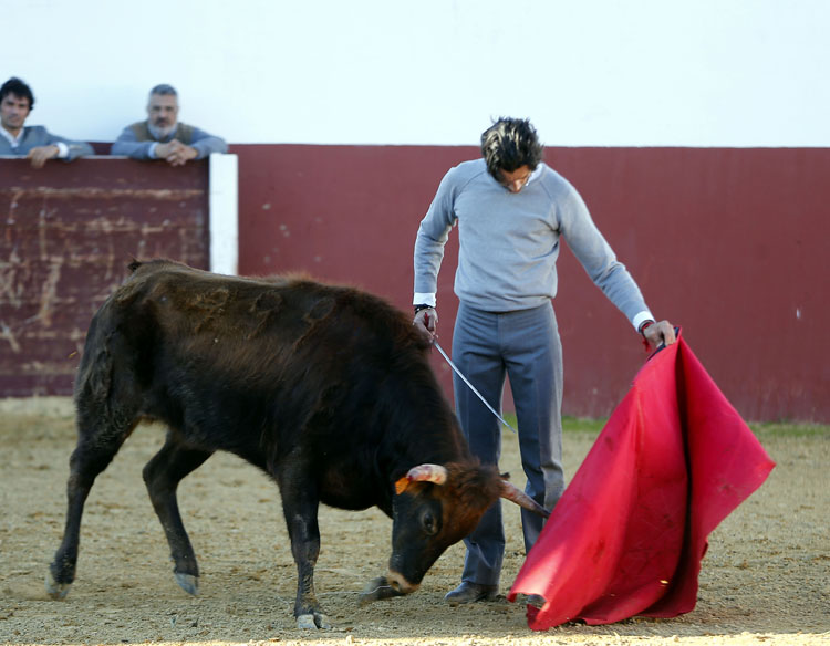 Tentadero en Fuente Ymbro