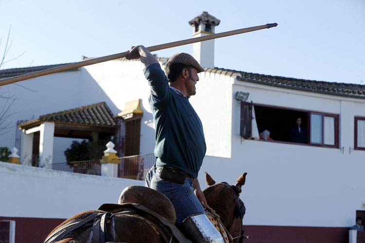 Tentadero en Fuente Ymbro