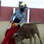 Tentadero en Fuente Ymbro