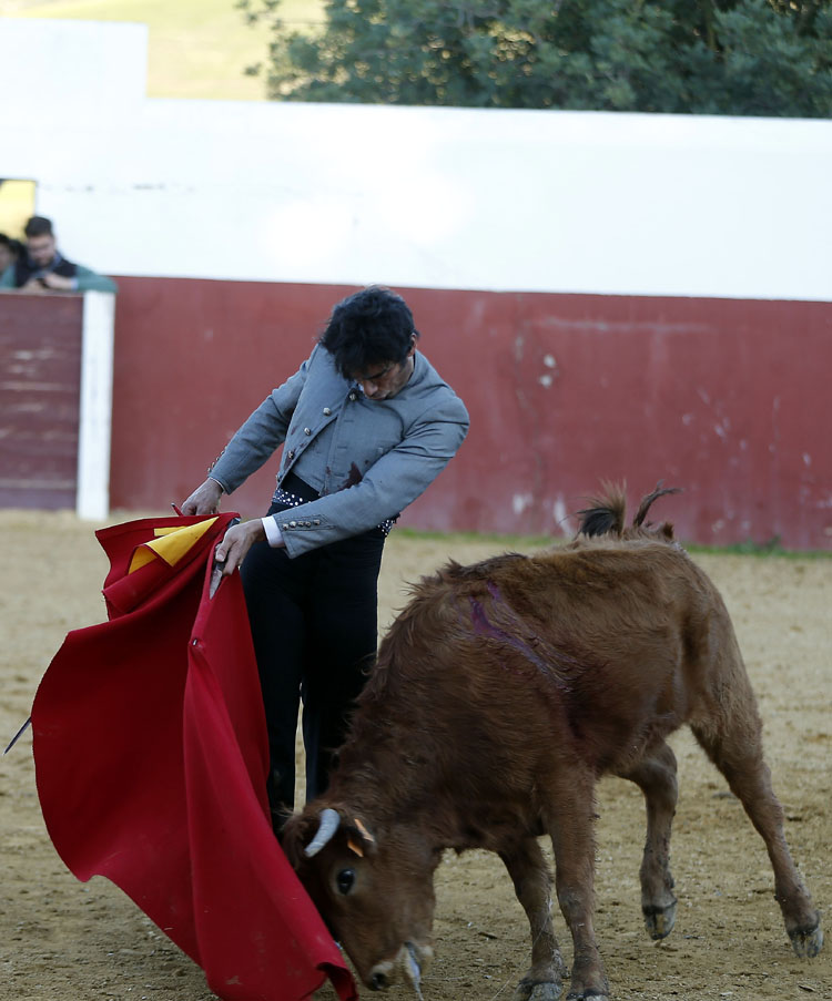 Tentadero en Fuente Ymbro