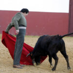 Tentadero en Fuente Ymbro