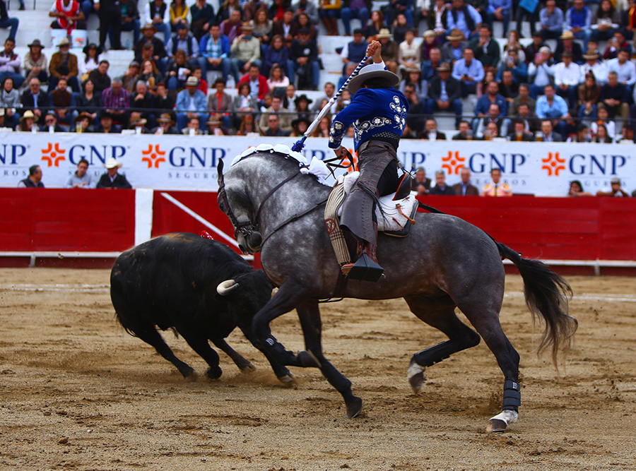 León (México), sábado 25 de enero de 2020