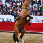 León (México), sábado 25 de enero de 2020