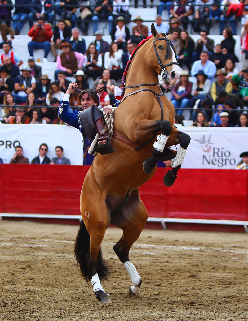 León (México), sábado 25 de enero de 2020